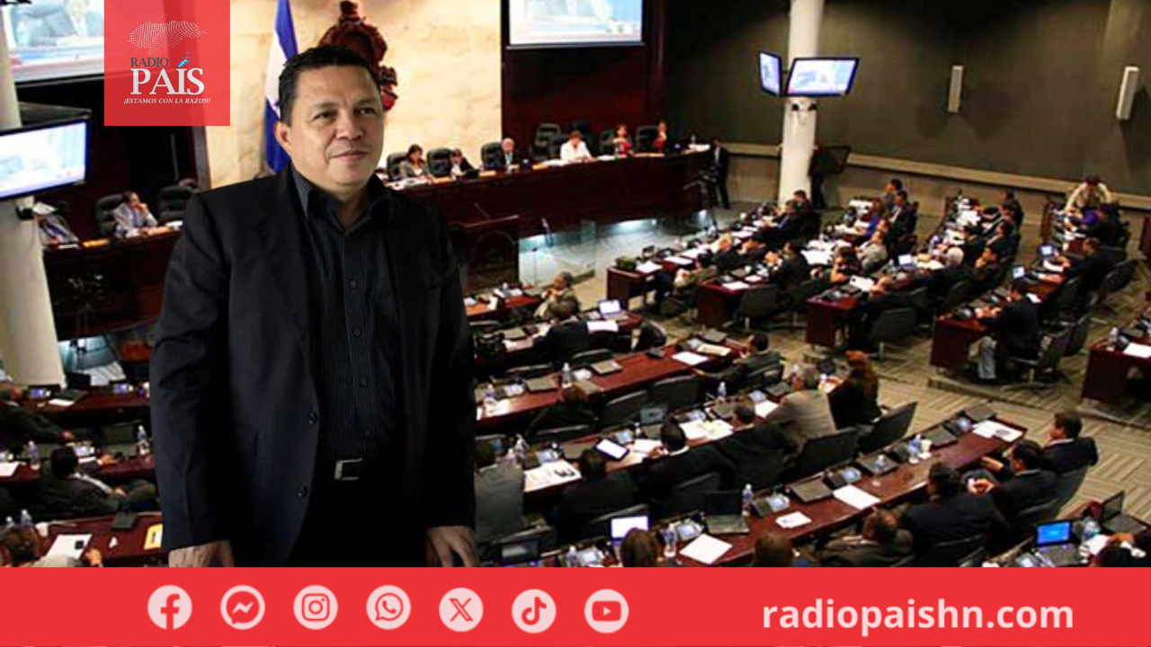 Lleg Una Solicitud Para Verificar Si Hay Diputados En Investigaci N