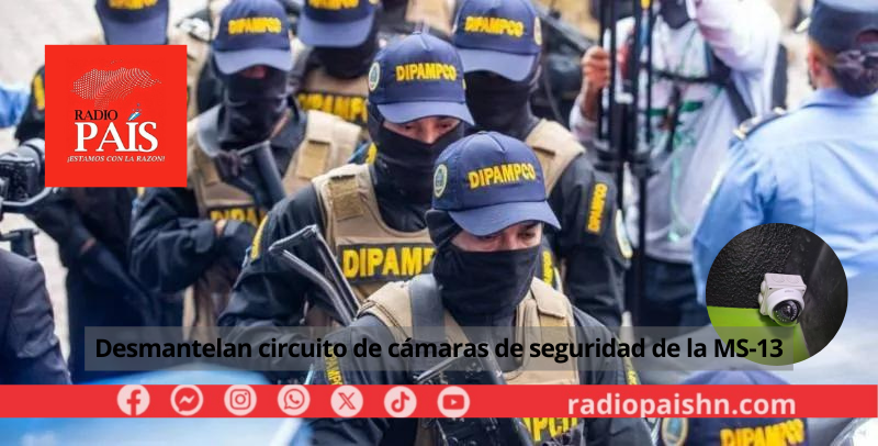 La Dipampco Ha Desmantelado La Red De Circuito De C Maras De Vigilancia