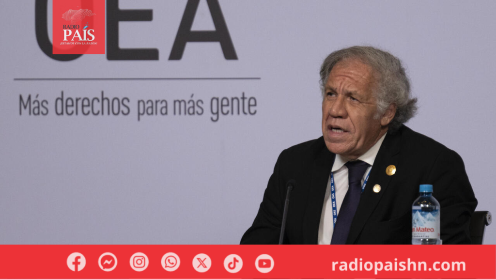 La OEA condena enérgicamente la incursión de Ecuador a la Embajada