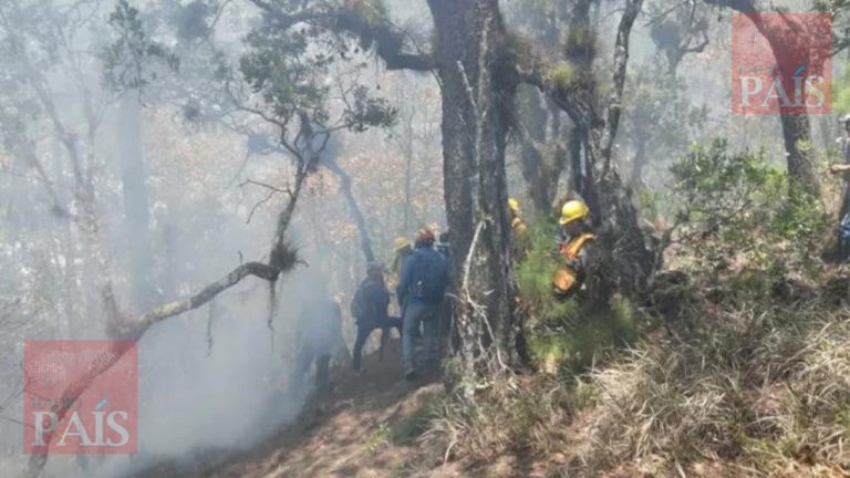 Bomberos combaten incendio forestal en Lempira