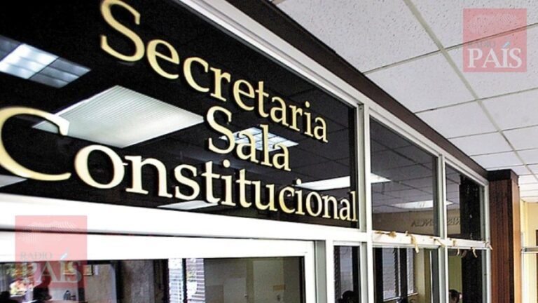 400 expedientes listos para audiencia en Sala de lo Constitucional