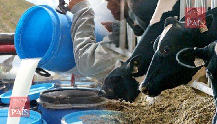 Pérdidas por invasiones reporta Cámara de la Leche