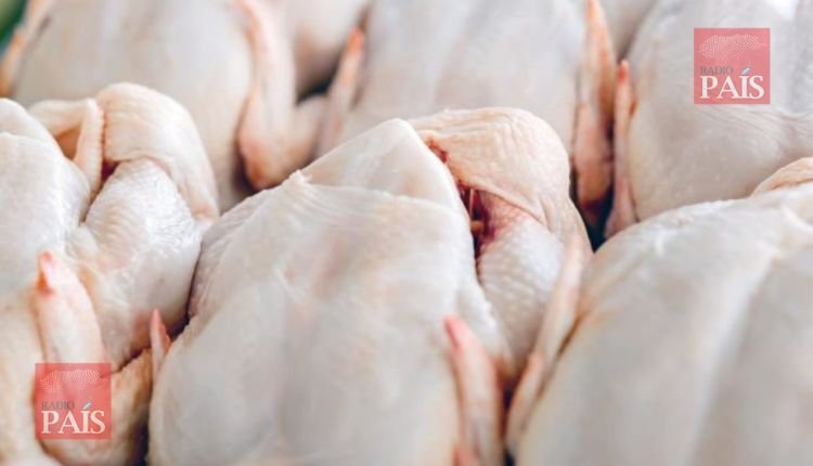 Industria avícola hondureña lista para exportar pollo a diez países