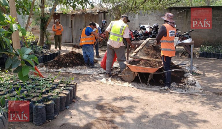 En nueve municipios se fortalecerá la gestión de residuos sólidos
