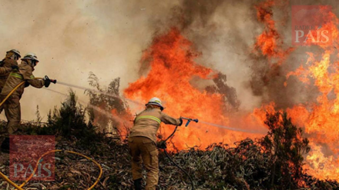 2 Mil Incendios Forestales En Lo Que Va Del 2023 Reporta ICF - Radio País