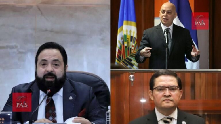 Presidente del CN nombra comisión para investigar a Chinchilla y Sibrián  