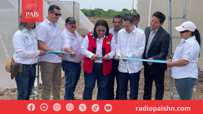 SAG inaugura proyecto para la producción de hortalizas en el corredor seco