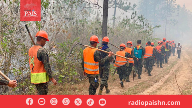 Video: Soldados combaten incendio forestal en Guaimaca