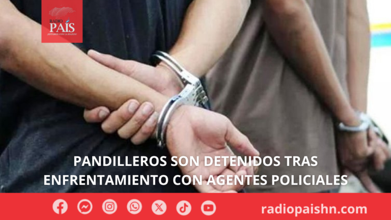 Pandilleros son detenidos tras enfrentamiento con agentes policiales
