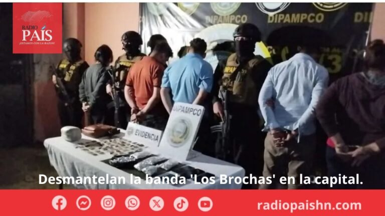 Desmantelan la banda ‘Los Brochas’ en la capital.