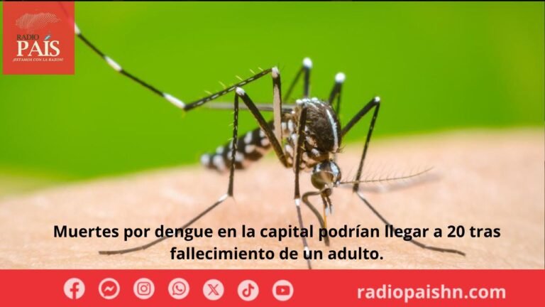 Muertes por dengue en la capital podrían llegar a 20 tras fallecimiento de un adulto.