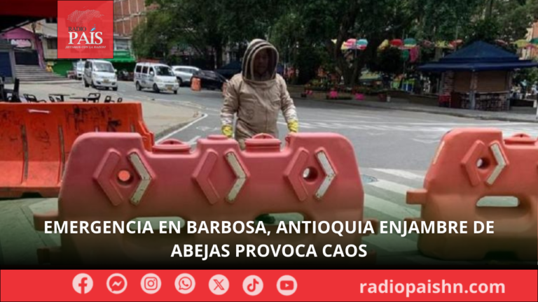 Emergencia en Barbosa, Antioquia enjambre de abejas provoca caos