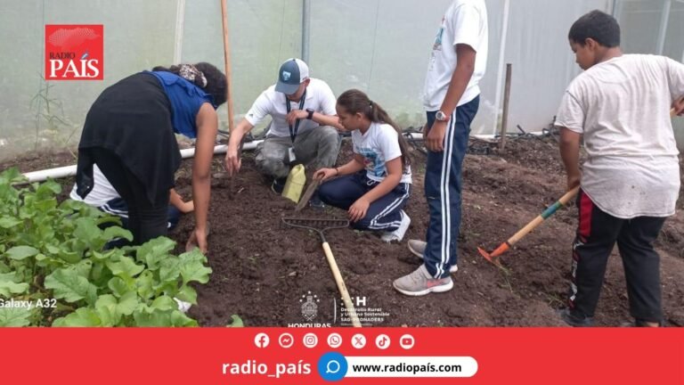 En el marco de la #Refundación educativa y agrícola, #SAG_PRONADERS impulsa la reactivación del #HuertoPedagógico en la Escuela Landa Reyes